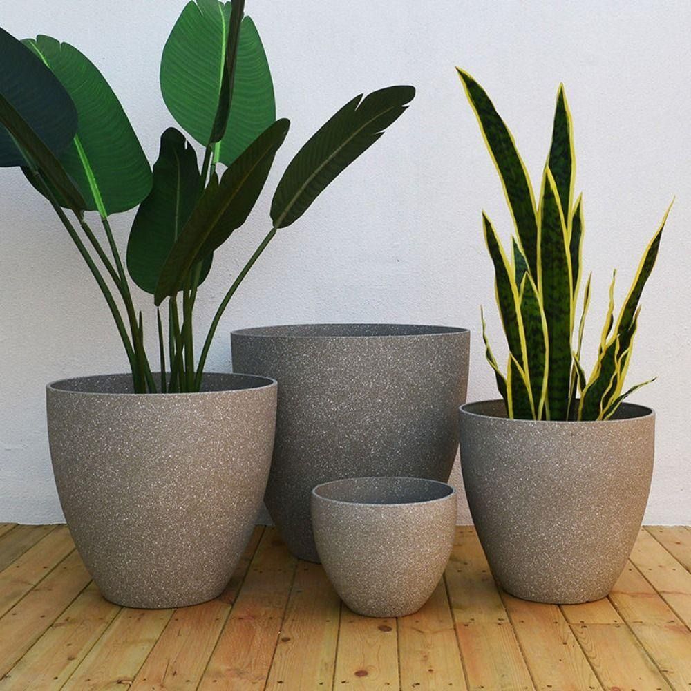 Snake Plant Ceramic - Frosted Imitation Stone Bonsai Flowerpot Balcony