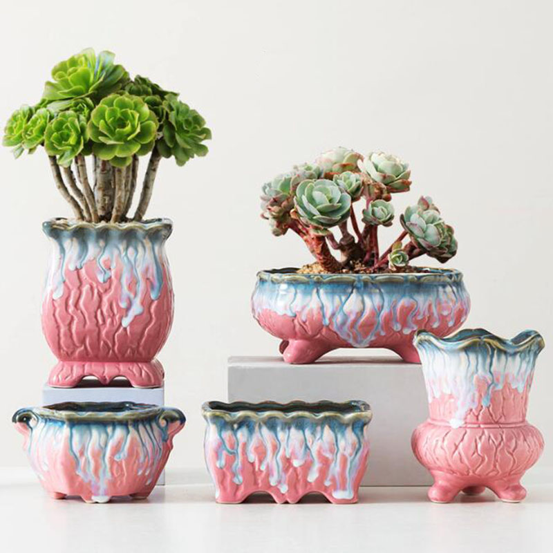 Creative Glazed Flowerpot Succ - Snake Plant Ceramic ulasan dan harga