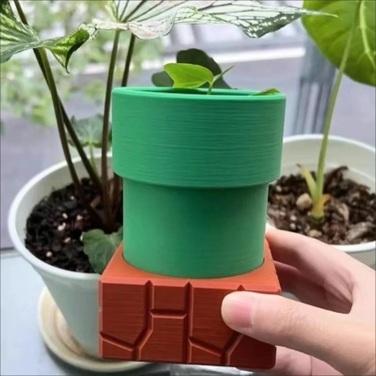 Water Pipe Cannibal Flower Pot - Snake Plant Ceramic ulasan dan harga