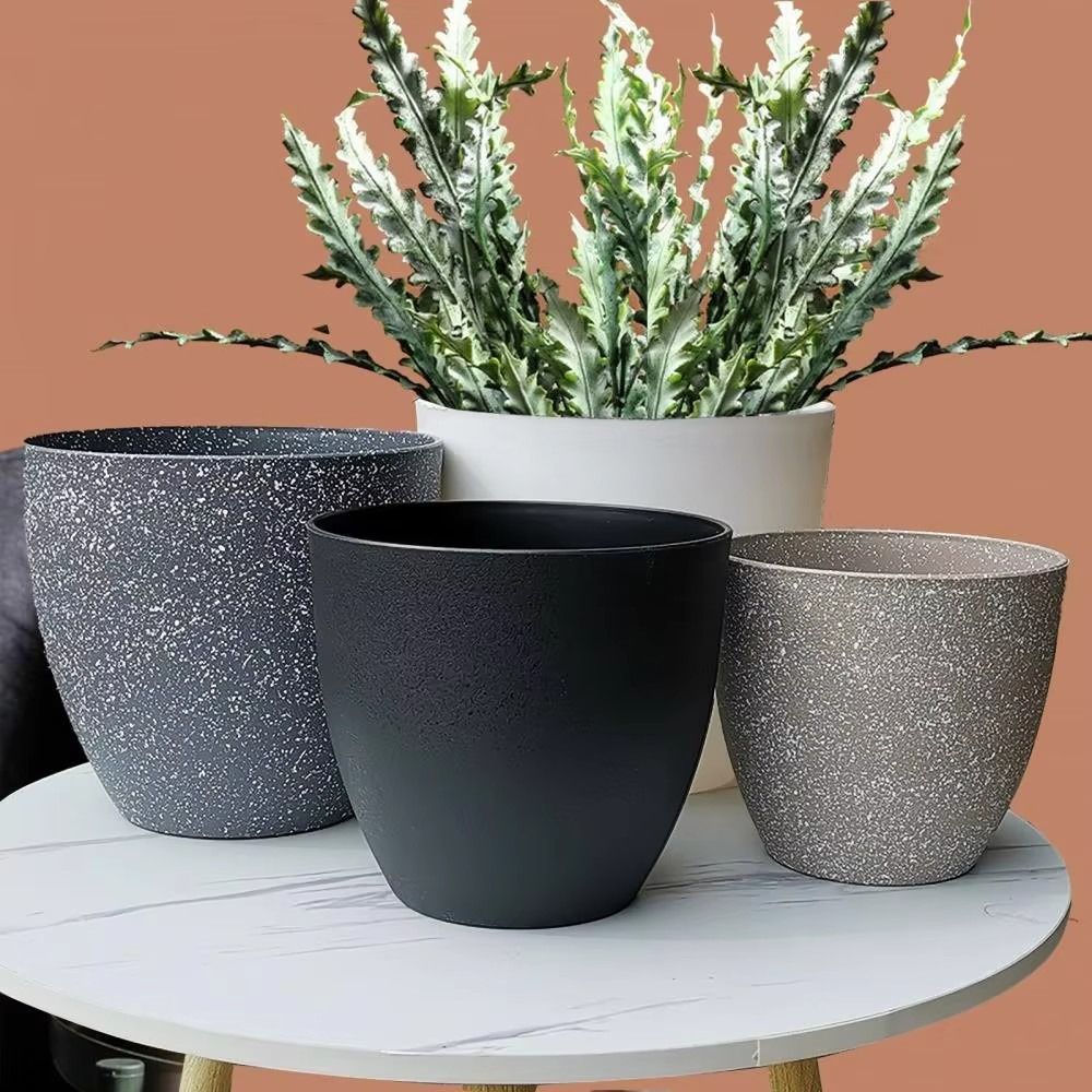 Frosted Imitation Stone Bonsai - Snake Plant Ceramic ulasan dan harga