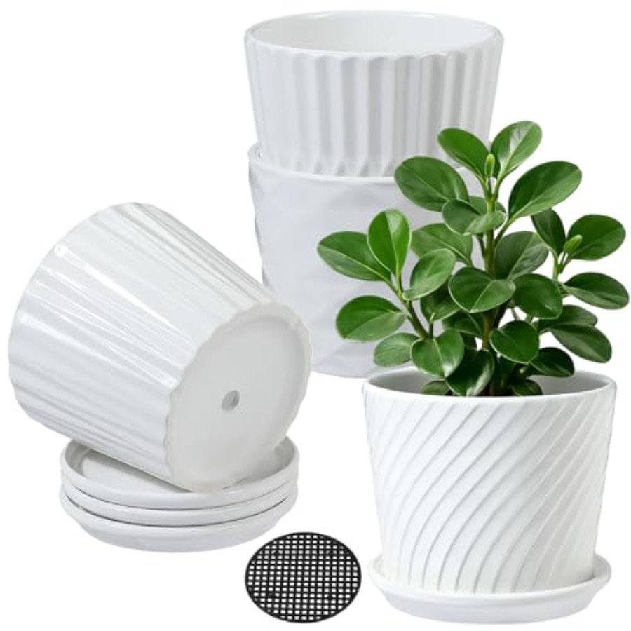 Plant Pots - Cylinder Ceramic  - Snake Plant Ceramic ulasan dan harga