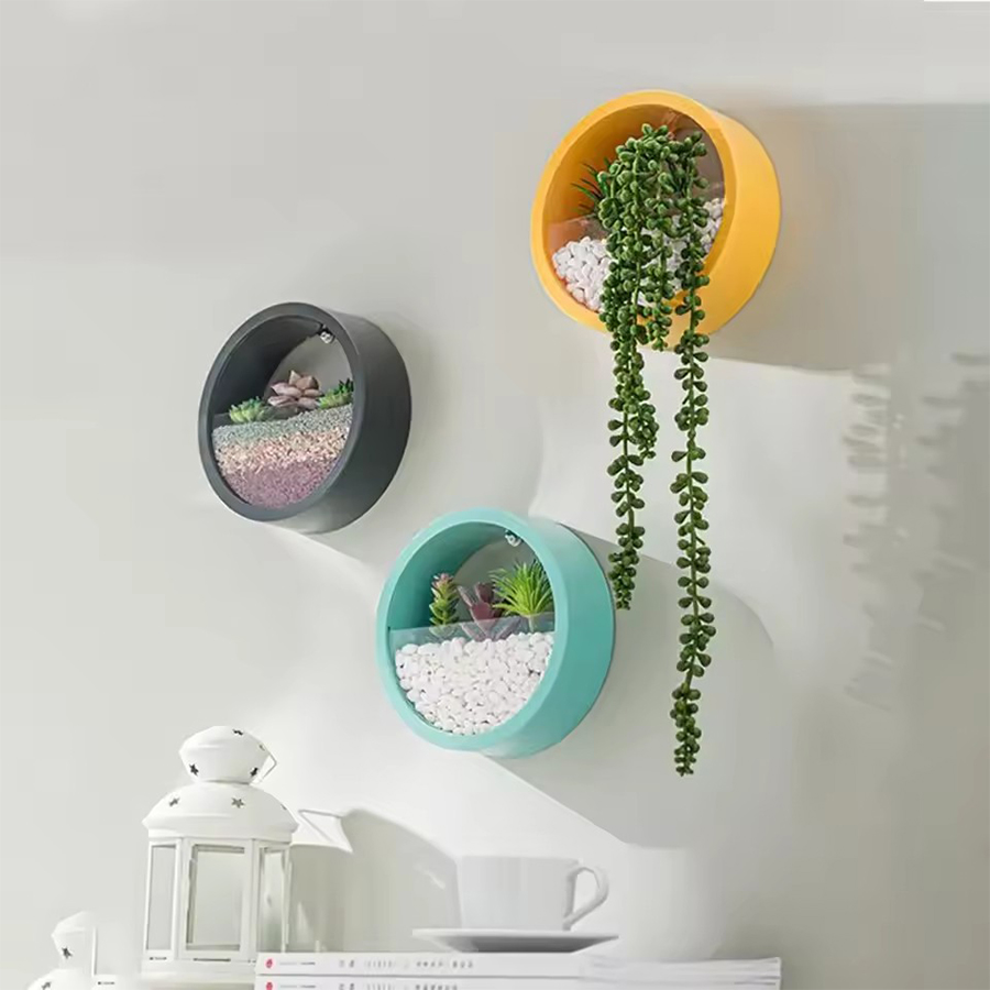 Round Wall Mount Planter Pot 3 - Snake Plant Ceramic ulasan dan harga