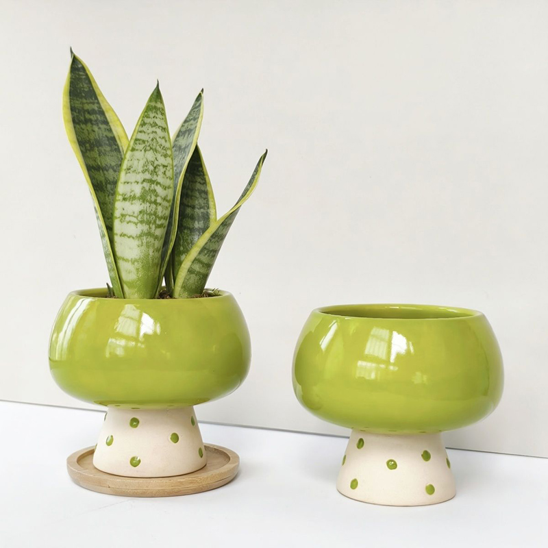 Stylish Minimalist Ceramic Flo - Snake Plant Ceramic ulasan dan harga